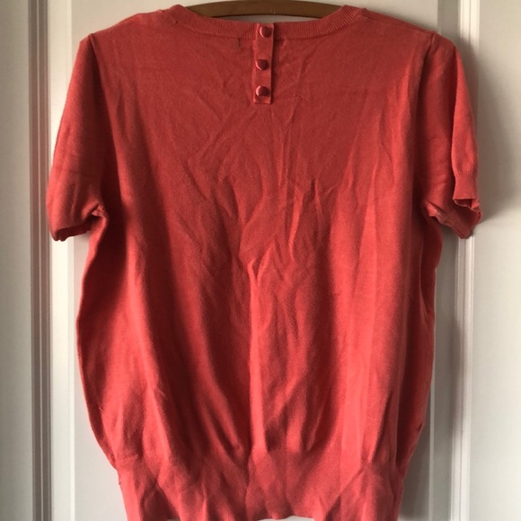 Short-sleeved Sweater with covered buttons on back - Picture 2 of 3